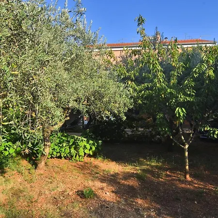 Apartment Edita