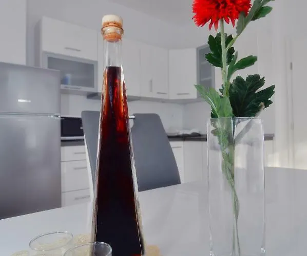 エディータ * ザダル