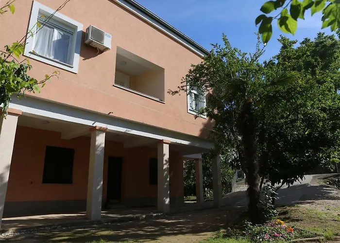 エディータ ザダル